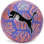 PUMA Neymar Jr Graphic Ball Pelotas de Entrenamiento, Unisex Adulto