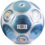 Hy-Pro Balón de fútbol clásico con Licencia Oficial, metálico, Talla 5, Entrenamiento, Partido, mercancía, Coleccionable para