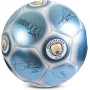Hy-Pro Balón de fútbol clásico con Licencia Oficial, metálico, Talla 5, Entrenamiento, Partido, mercancía, Coleccionable para