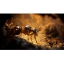 Empire of the Ants Limited Edition - PS5