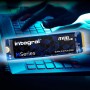 Integral Disco Duro sólido 256 GB SSD NVME M.2 2280 PCIe Gen3x4 R-2000 MB/s W-1200 MB/s TLC M1