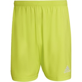 adidas Entrada 22 Shorts - Bermudas Hombre