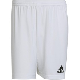 adidas Entrada 22 Shorts - Bermudas Hombre