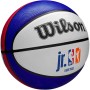 Wilson Jr. NBA Drv Plus Baloncesto, Unisex Adulto