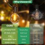 FIFlying Guirnalda Luces Exterior 8,8 M/29 FT G40 Guirnaldas de Luces Exterior con 12+1 LED, Guirnaldas Luces Exterior