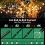 FIFlying Guirnalda Luces Exterior 8,8 M/29 FT G40 Guirnaldas de Luces Exterior con 12+1 LED, Guirnaldas Luces Exterior
