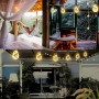 A.bigwhale 12M 120 LED Guirnalda Luces Exterior Solar, Hiedra Artificial con Luces Solares, 8 Modos Impermeable LED Solar Luz