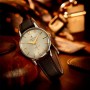 Festina Reloj Hombre F20248 Outlet Caja de Acero Inoxidable 316l Plateado Correa de Cuero
