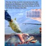 Anzuelos de Pesca, 600 PCS Anzuelos de Pesca en 10 Tamaños, Anzuelos de Púas, Pesca Gancho de Acero al Carbono con Caja de