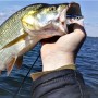 3 Piezas Señuelos de Pesca para Agua Dulce y Salada, Señuelos de Pesca Multiarticulados, Señuelo de Pesca con Múltiples