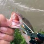Juego de Alicates Pesca de Aparejos,Alicates Pesca,Gancho Herramienta de Pesca,Alicates de Corte de LíNea de Pesca,Pinza de