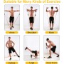 Gomas Elasticas Musculacion 150 lbs 12 Piezas Elasticos Fitness Musculacion con 5 Diferentes Niveles Gomas Bandas Elasticas para