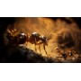 Empire of the Ants Limited Edition - PS5
