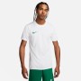 Nike M Nk Dry Park Vii Jsy Ss - Camiseta De Manga Corta Hombre