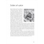 Respirar, concentrarse, destacar: Ejercicios, técnicas y estrategias para un rendimiento deportivo óptimo (SIN COLECCION)