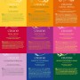 Creano Set de regalo de té de hierbas orgánicas "Orgánico Herbal Tea" – 27 bolsas de té orgánicas en 9 diferentes variedades –