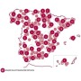 Smartbox - Caja Regalo Vino y Tapas - Idea de Regalo Vino - Visita a Bodega con cata y obsequio o menú de Tapas para 2 Personas