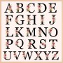 Letras Personalizadas Tote, Bolso Tote de Mujer con Inicial y Flores Bolsa de Compras con Bolsillo Interior, Alfabeto Bolso de