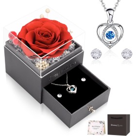 CSYY Rosa Eterna, Día de La Madre Regalo de San Valentín Regalo Fiori Stabilizzata Regalo con Collana Cuore e Orecchini a Perno