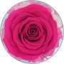 Sunia Rosa Eterna Regalo Dia de la Madre,Flores Preservadas Regalo Mujer,Flore Eterna con Figura Ángel Día de la Madre,Regalo