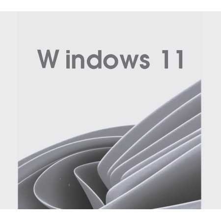 W indows 11 Professional