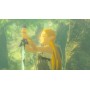 Zelda Breath of the Wild - Nintendo Switch 2 Edition