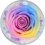 Sunia Rosa Eterna Regalo Dia de la Madre,Flores Preservadas Regalo Mujer,Flore Eterna con Figura Ángel Día de la Madre