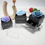 Rosa Eterna Regalo Dia de la Madre, Regalo Mama, Rosa Natural Flores Preservada con Collar Día de la Madre, Regalos para Madres