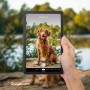 Lenovo Tab M9 - Tablet de 9" HD, MediaTek Helio G80, 3 GB de RAM, 32 GB ampliables hasta 2 TB, 2 Altavoces, WiFi + Bluetooth