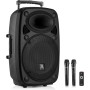 Vonyx Verve46 Altavoz Bluetooth Potente 1000w, Altavoz autoamplificado portatil con microfono Karaoke, Bluetooth Speaker USB,