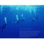 FYOBOT Regulador de 2A Etapa de Buceo Submarino Profesional Accesorio de Equipo Regulador de Pulpo de Buceo-Negro