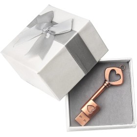 leizhan Metal USB 2.0 Flash Drive 32GB (1 Pack) USB-Stick Pendrive USB Flash Disk Memory Stick Waterproof External Storage