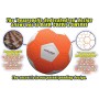 Kickerball - Curve and Swerve Football