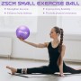 jjshund Pelota de Pilates, 25 cm Pelota Yoga Fitball Pequeña Antideslizante Pelota de Gimnasia para Hogar Oficina Gimnasio Yoga