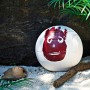 Wilson Pelota de Voleibol