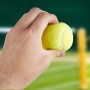 BRAMBLE 15 Pelotas de Tenis (Diámetro 6,5cm) - Bolas de Tenis con Bolsa de Malla de Transporte - Tennis Balls para