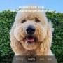 Galaxy S23 256GB