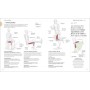 Entrenamiento de fuerza: Mejora tu técnica, evita lesiones, perfecciona tu entrenamiento (Deportes DK)