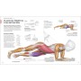 Entrenamiento de fuerza: Mejora tu técnica, evita lesiones, perfecciona tu entrenamiento (Deportes DK)