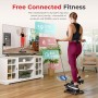 Sunny Health & Fitness Mini Steppers para ejercitarse en casa, máquina de Ejercicios para escaleras, Equipo Cardiovascular