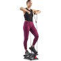 Sunny Health & Fitness Mini Steppers para ejercitarse en casa, máquina de Ejercicios para escaleras, Equipo Cardiovascular