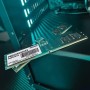 Patriot Memory Serie Signature Memoria RAM DDR5 4800 MHz PC5-38400 16GB (1x16GB) CL40 - PSD516G480081