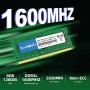 TECMIYO Memoria RAM DDR3 8GB 1RX8 PC3L 12800S 1,35 V/1,5 V (1x8GB) DDR3, 1600 MHz, SODIMM CL11 Non-ECC, Memoria RAM para