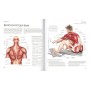 Fitness: Anatomia Ejercicios (Atlas Ilustrado)
