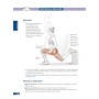 ANATOMÍA DEL ENTRENAMIENTO DE LA FUERZA CON EL PROPIO PESO CORPORAL: Guía ilustrada para mejorar la fuerza, la potencia y la