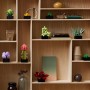 LEGO Botanical Suculentas Maqueta de 9 Plantas Artificiales para Construir, Decoración para Casa, Manualidades para Adultos, Kit