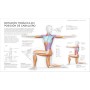 Estiramientos: Potencia tu flexibilidad, mantente activo y evita lesiones (Deportes DK)