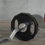 SPORTNOW Juego de 2 Discos de Pesas Olímpicas Hierro Fundido Placas de Pesas con Orificio de 5 cm para Barra o Mancuernas