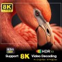 Android 13.0 TV Box, LEFFOT M2 4K UHD Streaming Device for TV, 4GB RAM + 64GB ROM, Smart TV Box Android with HDR10, Voice