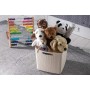Curver Juliet- Cesta Rectangular Grande 20L, Almacenaje, Ordenación, 100% plástico Reciclado, Acabado Yute, 36x28xH23 cm, Blanco